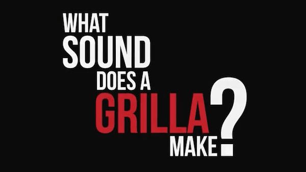 What Sound Does A GRILLA Make?